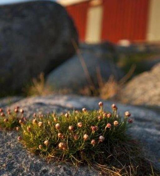 فندق åh Stifts  & Konferensgård