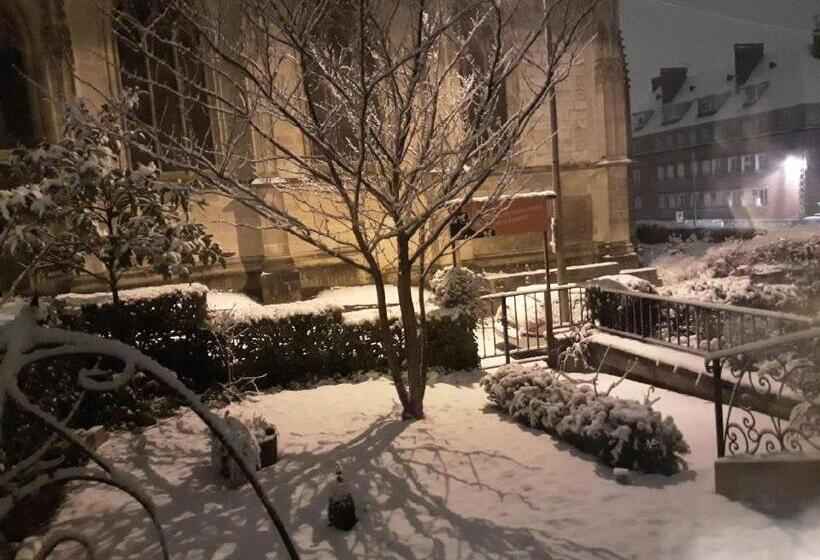 호텔 Hôtel Saint Louis Chambres Et Appartement