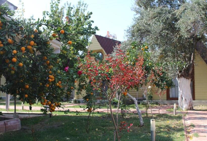 בית מלון כפרי İdavilla Bungalov & Bahçe