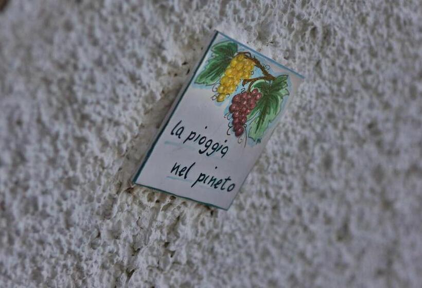 בית מלון כפרי Il Tremolar Della Marina