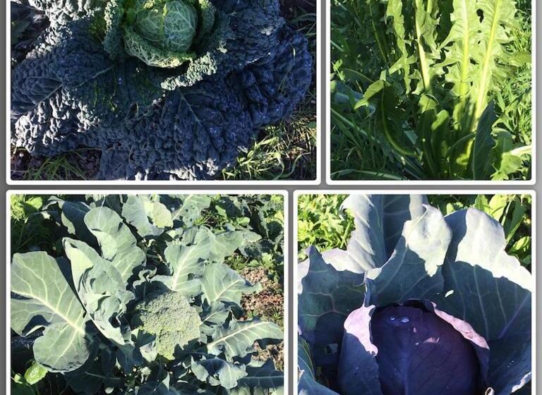 فندق La Palazzina Di Ciagnano