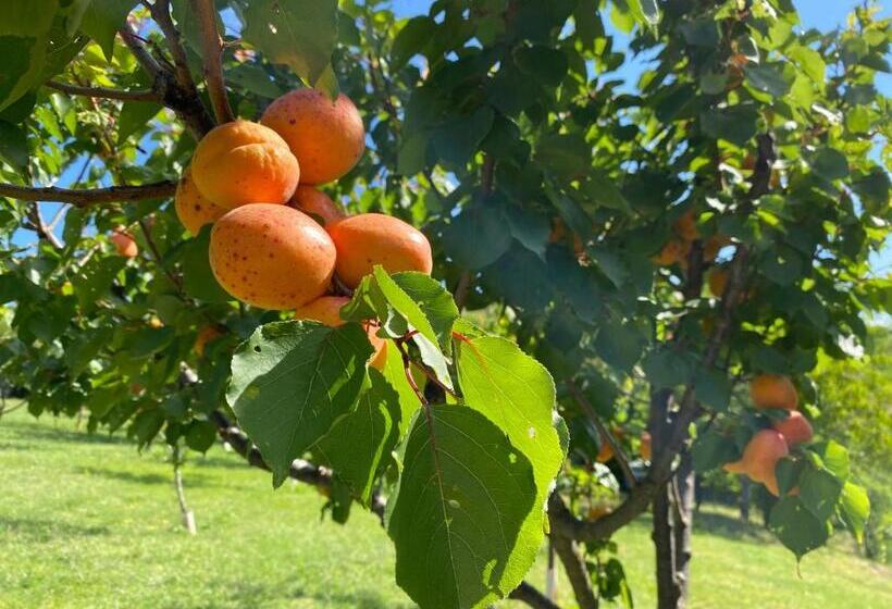 فندق La Palazzina Di Ciagnano