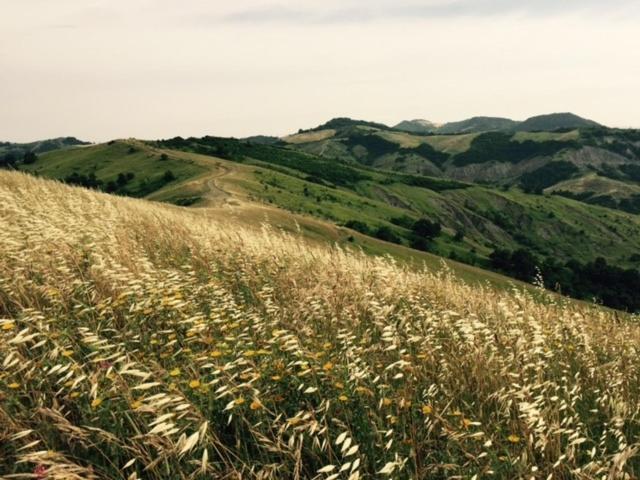 فندق La Palazzina Di Ciagnano