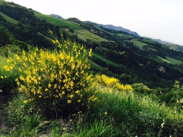 فندق La Palazzina Di Ciagnano