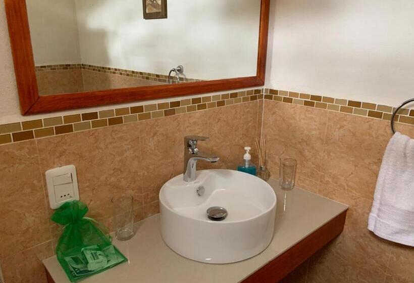 호텔 La Posada De La Pedrera