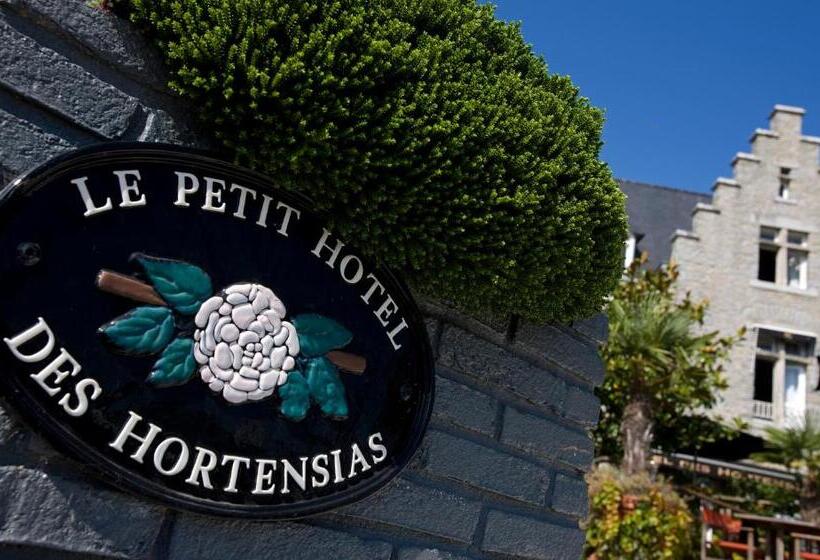 酒店 Le Petit Hôtel Des Hortensias