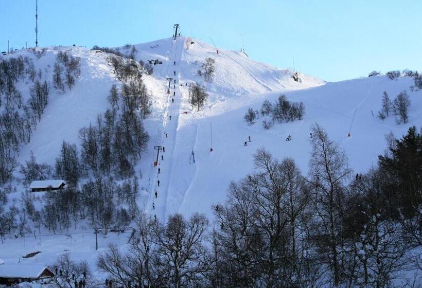 호텔 Ljosland Fjellstove