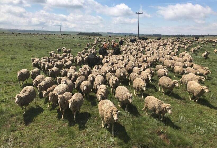 בית מלון כפרי Luiperdkloof Trout Lodge