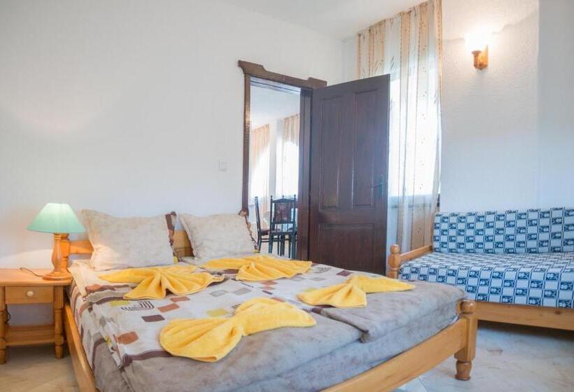 Отель Stefanov 1