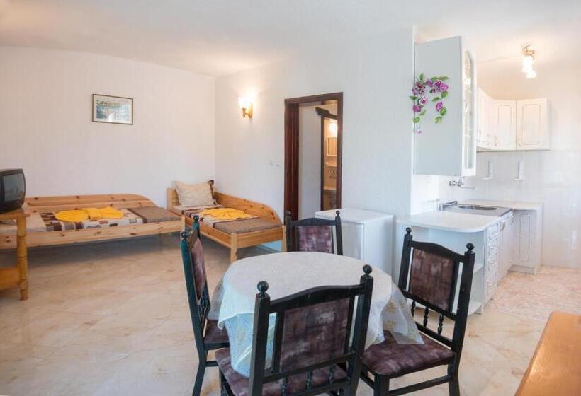 Отель Stefanov 1