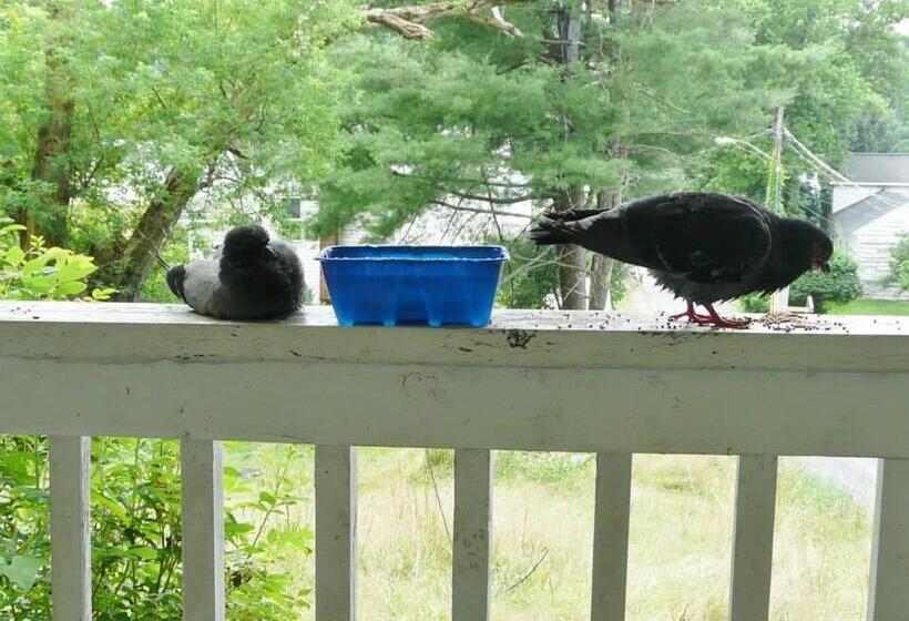 Kountry Living Bed And Breakfast