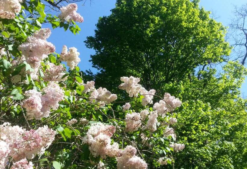 Kountry Living Bed And Breakfast