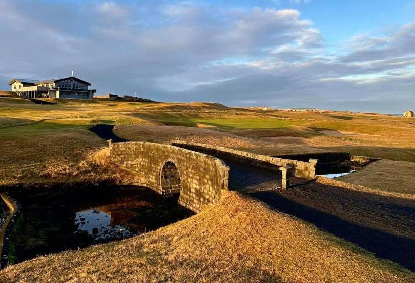 پانسیون Blue Viking Studios