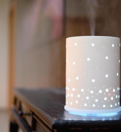 پانسیون Blue Viking Studios