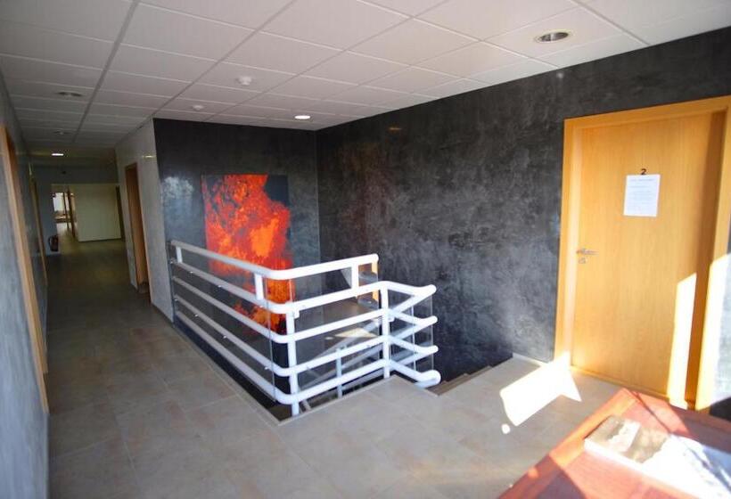 پانسیون Blue Viking Studios