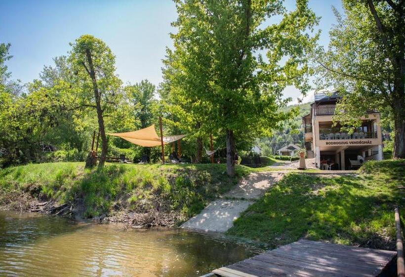 פנסיון Bodrogzug Vendégház
