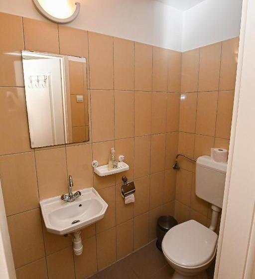 פנסיון Bodrogzug Vendégház