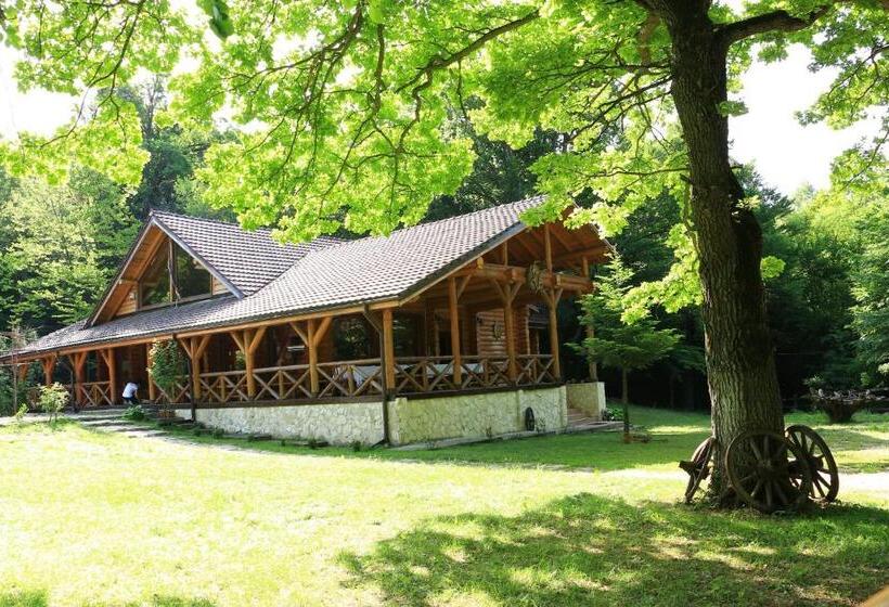 Пансион Cabana Izvoranu