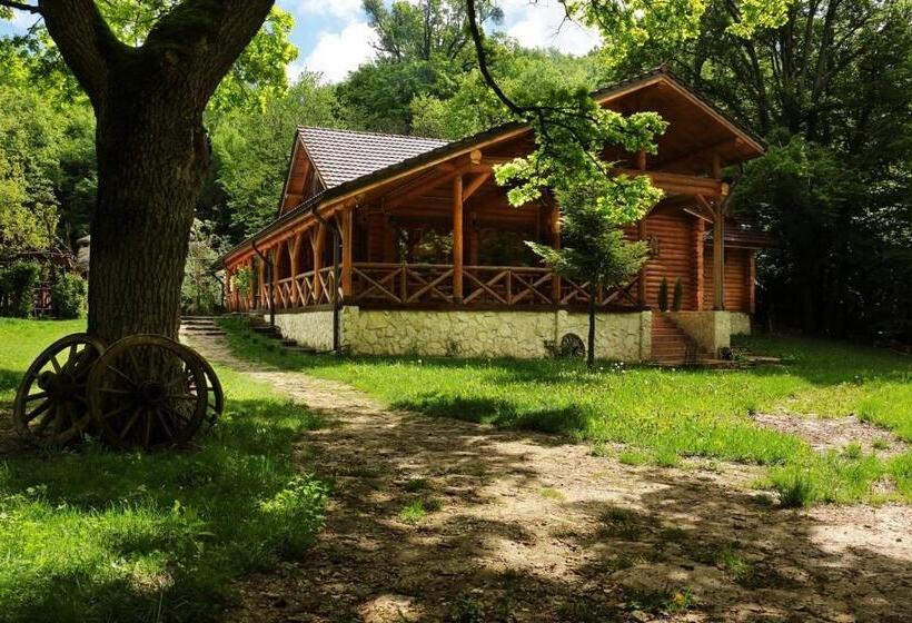 Пансион Cabana Izvoranu