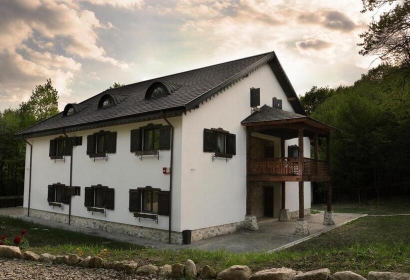 Пансион Cabana Izvoranu