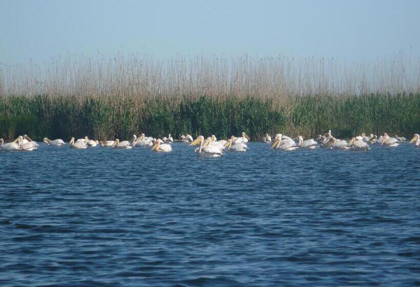 膳宿费 Casa Iustina Sulina