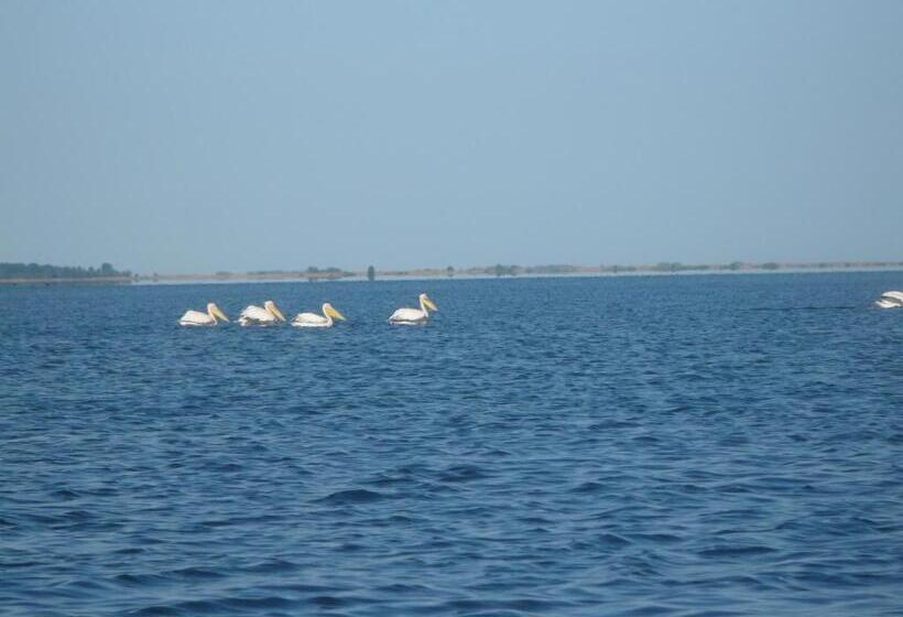 膳宿费 Casa Iustina Sulina