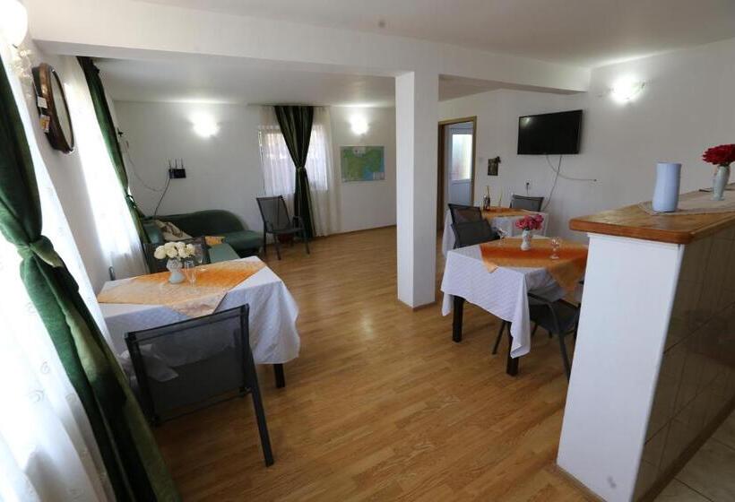 膳宿费 Casa Iustina Sulina