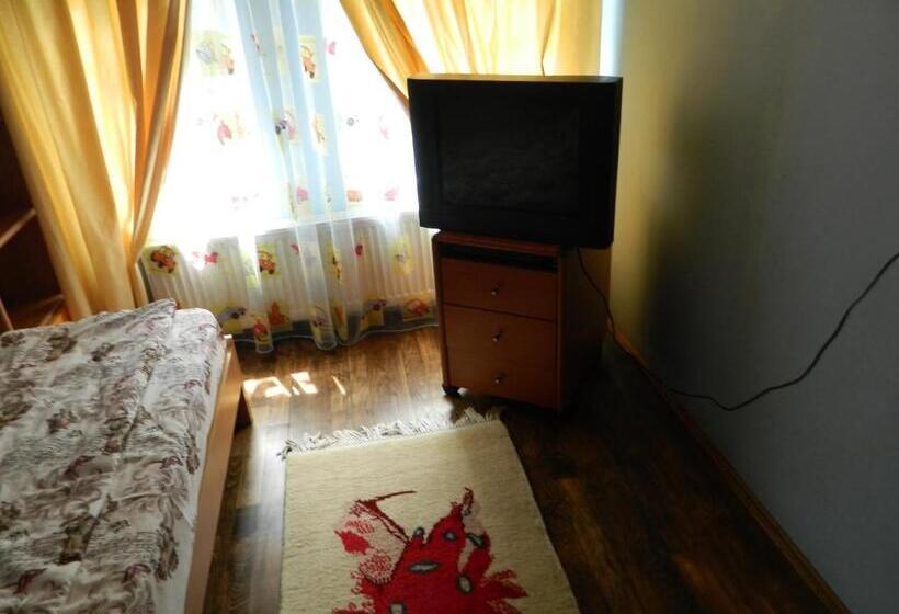 ペンション Cazare Vio