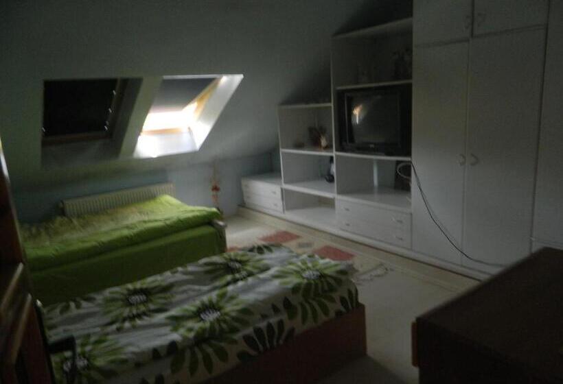 ペンション Cazare Vio