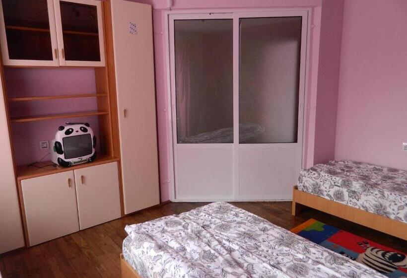 ペンション Cazare Vio