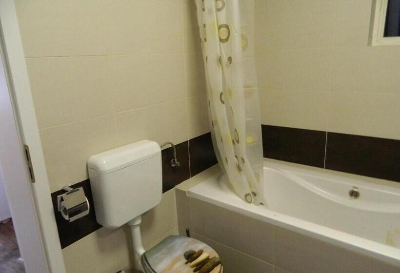 ペンション Cazare Vio