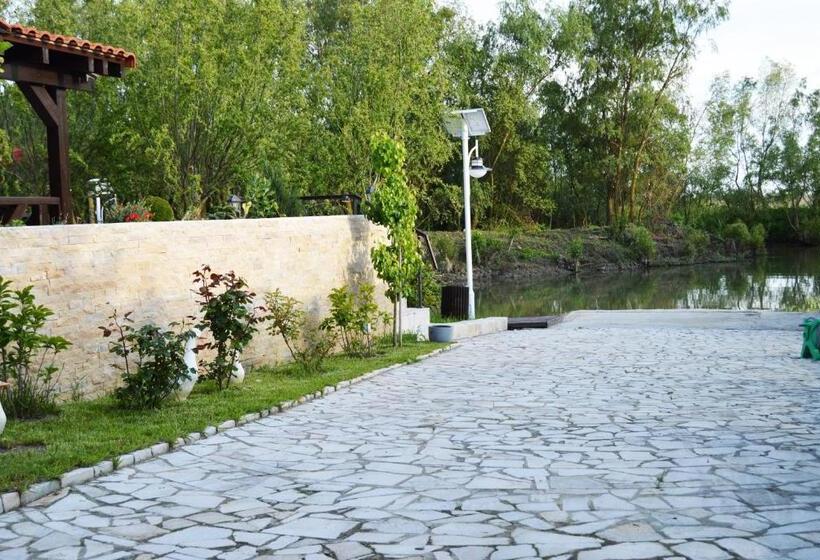 膳宿费 Delta Dreams Boutique