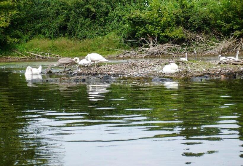 Пансион Gostifrance