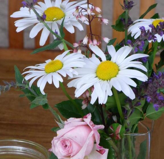 بنسيون Gästehaus Alte Bergmühle