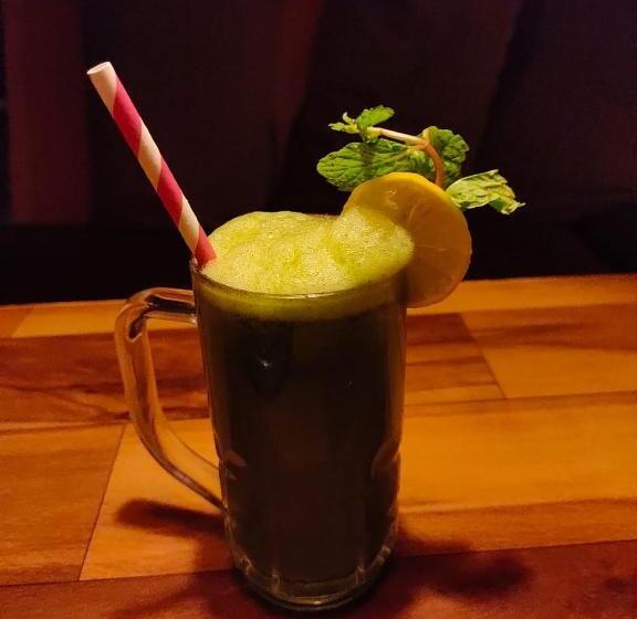 Пансион Manasa Guest House