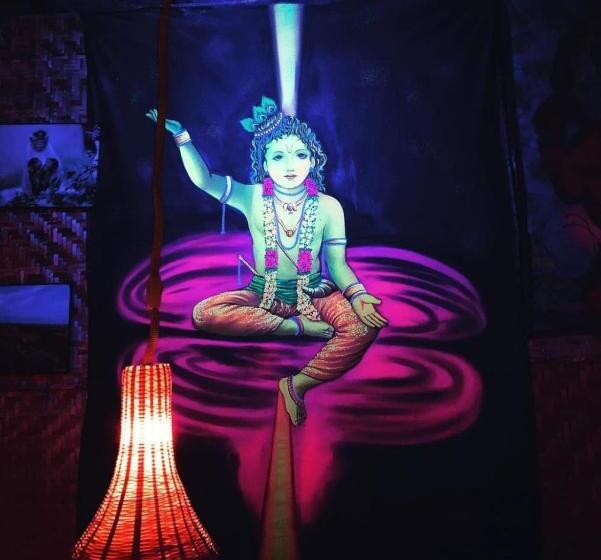 Пансион Manasa Guest House