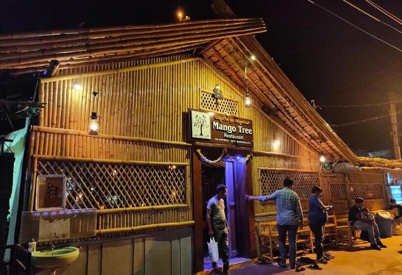 Пансион Manasa Guest House