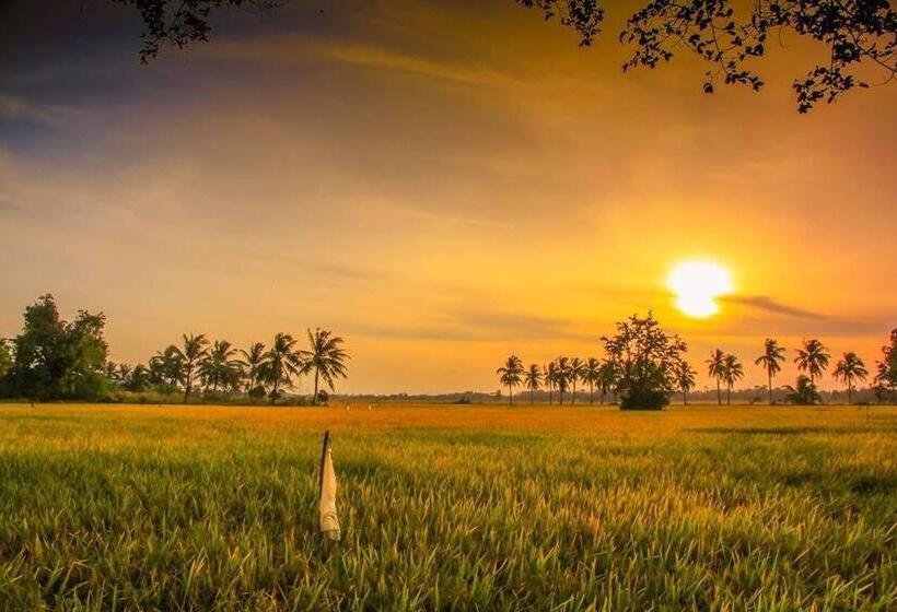 膳宿费 Homestay Ira Jaya   4 Unit Rumah