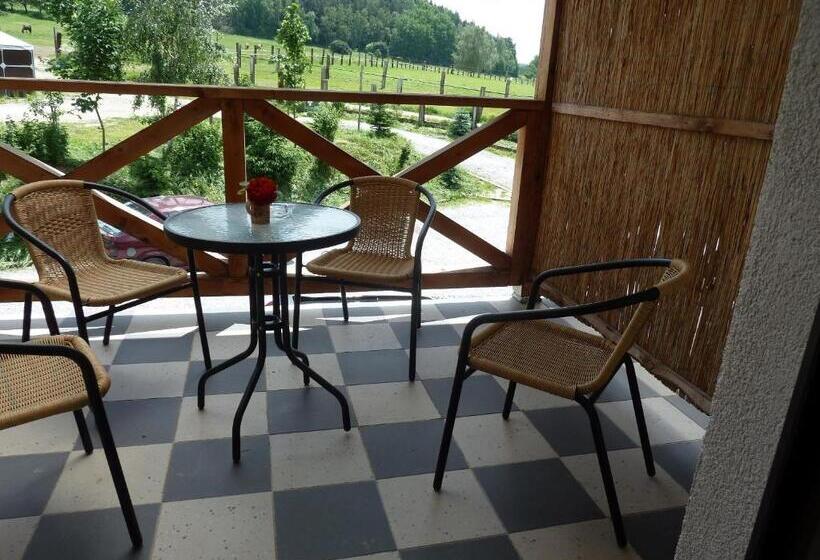 بنسيون Q Ranch