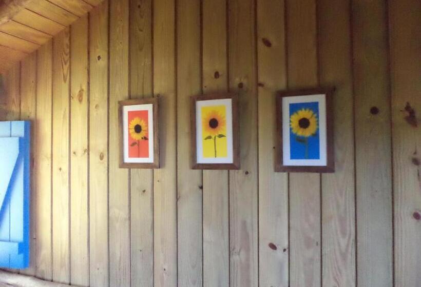 פנסיון Regina Guest House