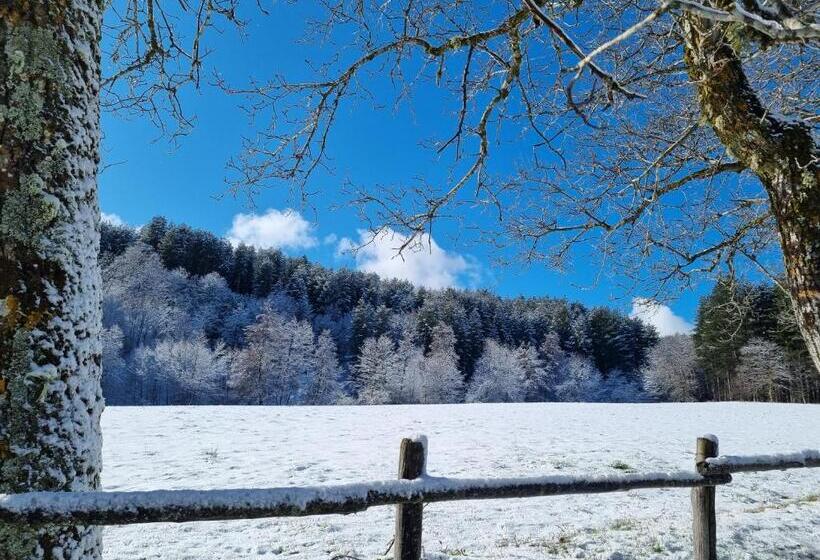 بنسيون Torre Camigliati Dimora Storica