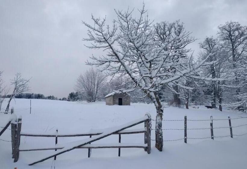 بنسيون Torre Camigliati Dimora Storica