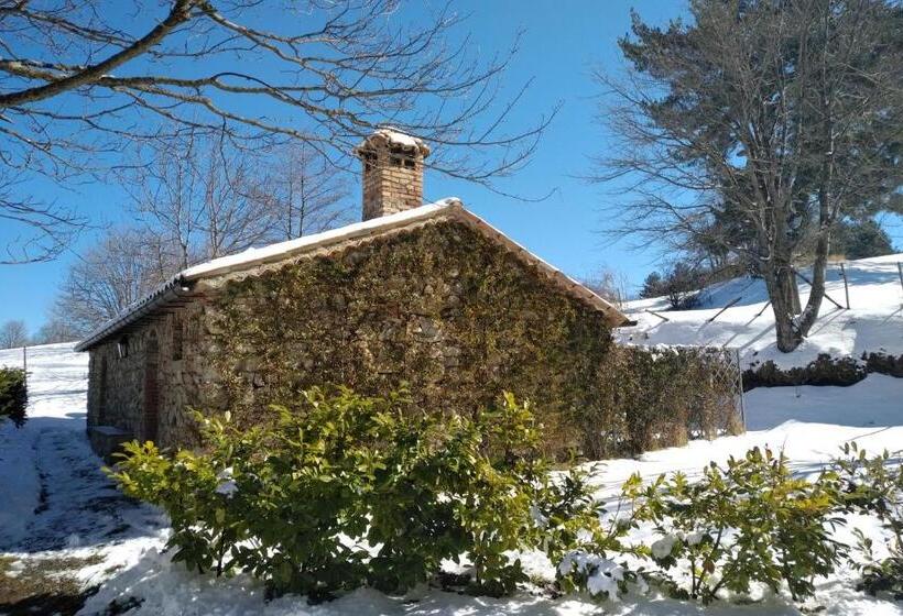 بنسيون Torre Camigliati Dimora Storica