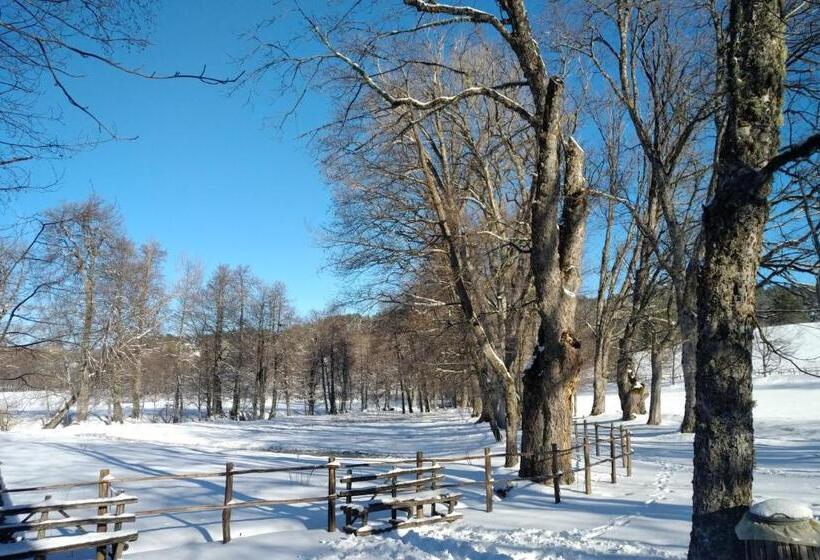 بنسيون Torre Camigliati Dimora Storica
