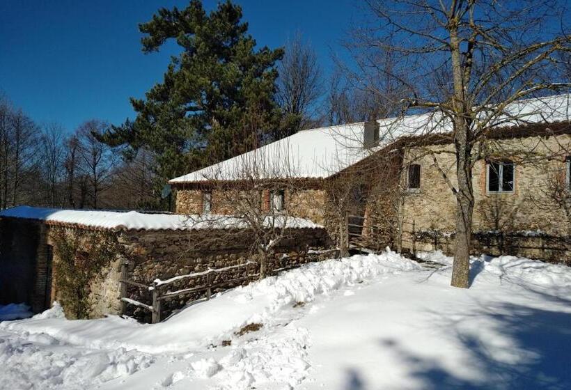 بنسيون Torre Camigliati Dimora Storica