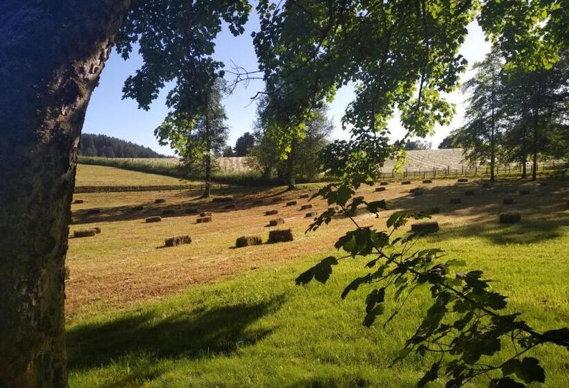 بنسيون Torre Camigliati Dimora Storica