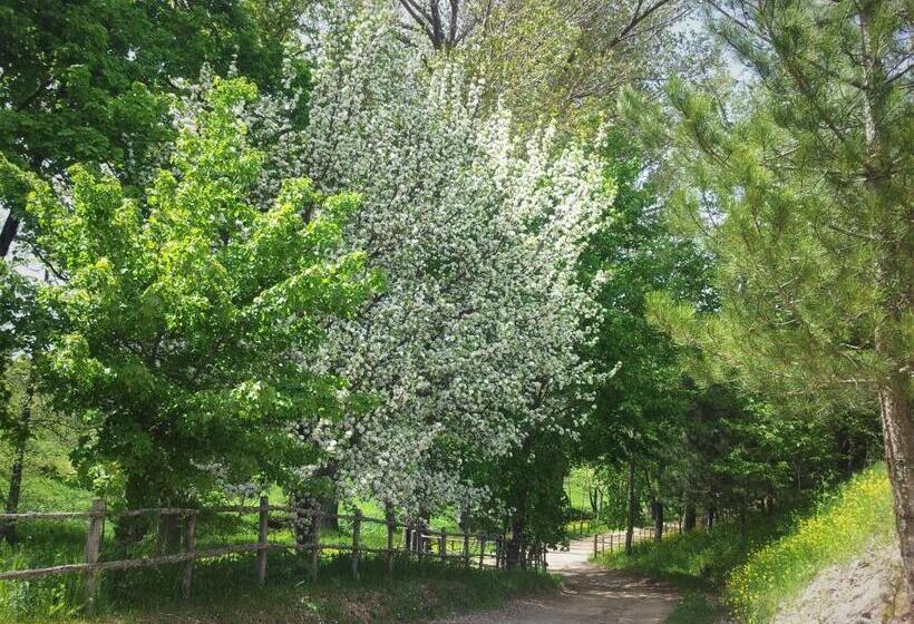بنسيون Torre Camigliati Dimora Storica