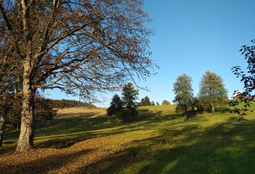 بنسيون Torre Camigliati Dimora Storica