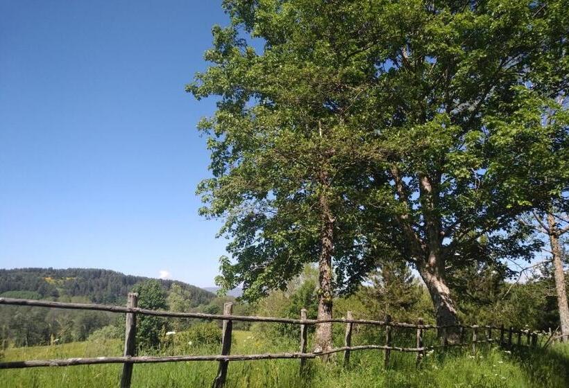 بنسيون Torre Camigliati Dimora Storica