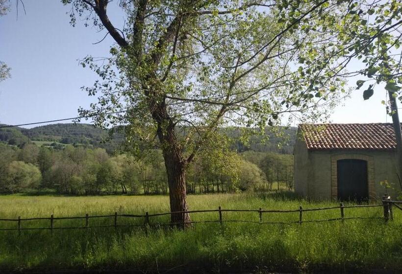 بنسيون Torre Camigliati Dimora Storica